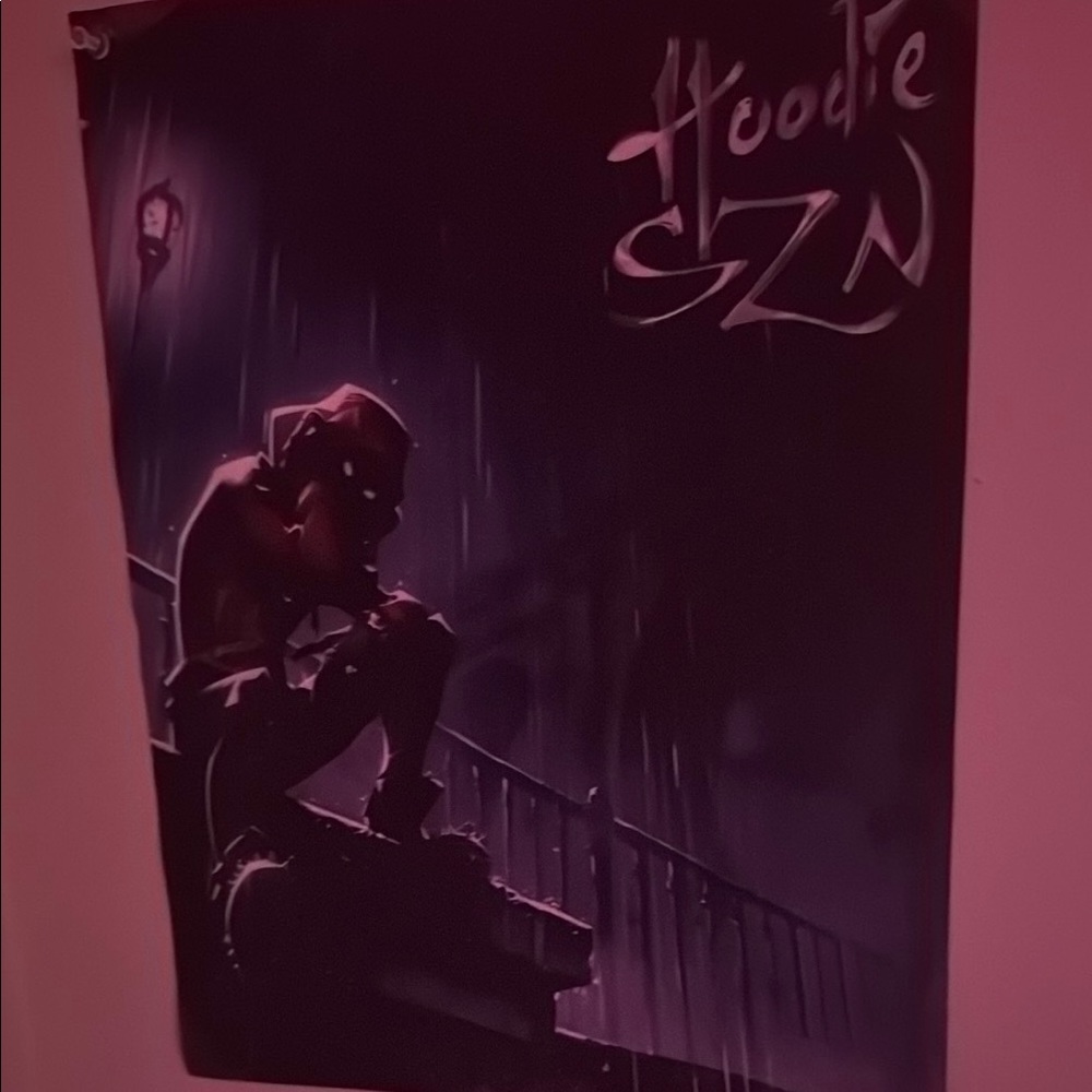 SHEIN Purple and Black Hoodie SZN Wall Art